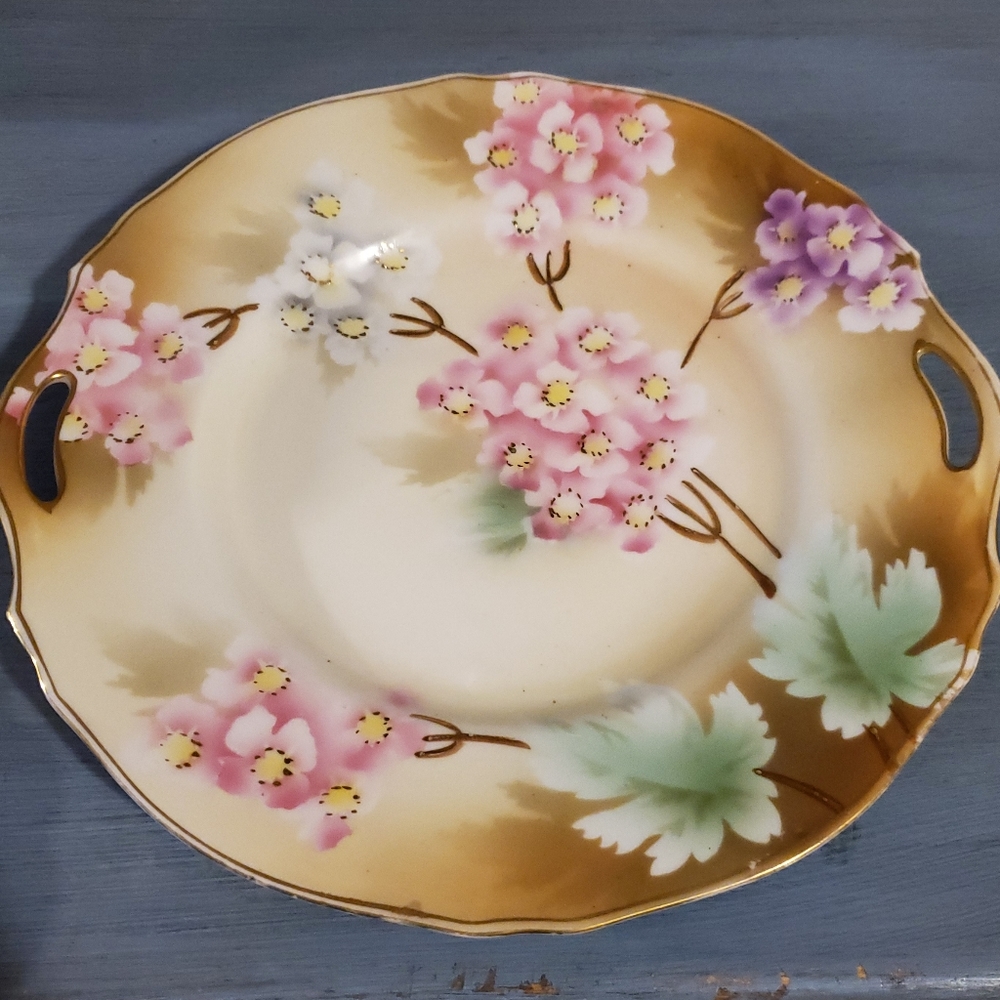 RS Germany Hand Painted Plate